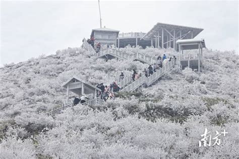 廣州下雪|真的实现了！广东下雪了！